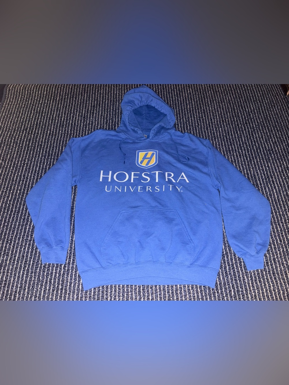 Hofstra University Pride Medium Blue Hooded Sweatshirt Hoodie Heavy Gildan Blend